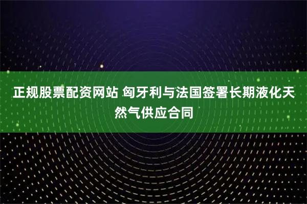 正规股票配资网站 匈牙利与法国签署长期液化天然气供应合同